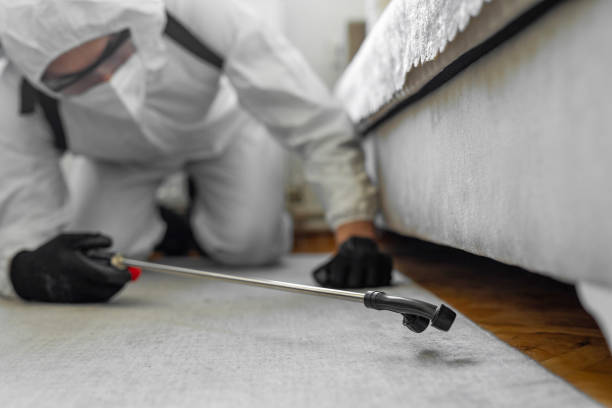 Professional Termite Control technician working in Brenham, TX
