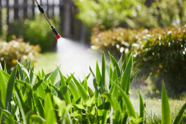 24/7 Emergency Termite Control experts in Brenham, TX