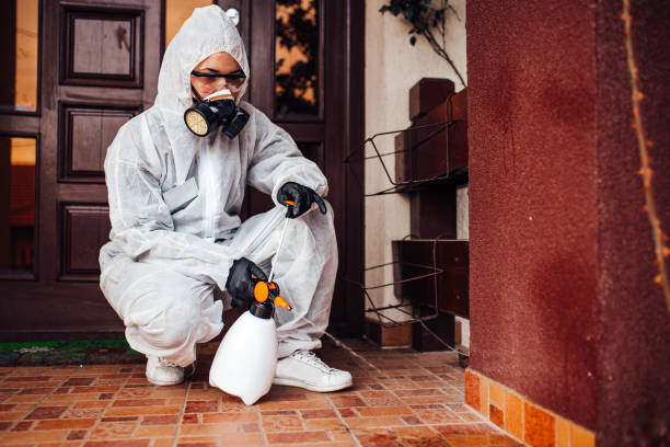 Reliable Termite Control contractor in Brenham, TX by Nex Pest Control